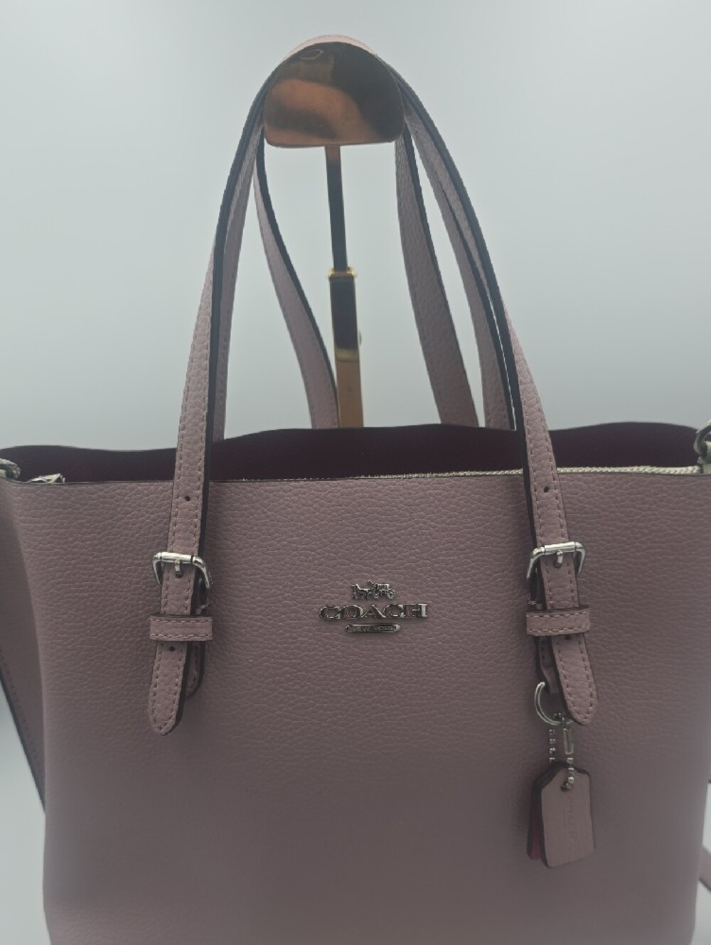 Coach Mollie 25 Ice Pink Leather Small Tote W/ Silver Hardware (EUC)π©Άππ©Ά - Picture 2 of 16